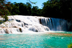 Puerto Vallarta Outdoor Experience